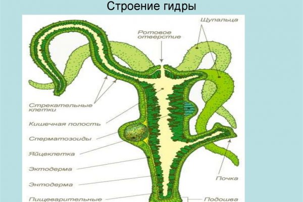 Как вывести деньги с кракена тор