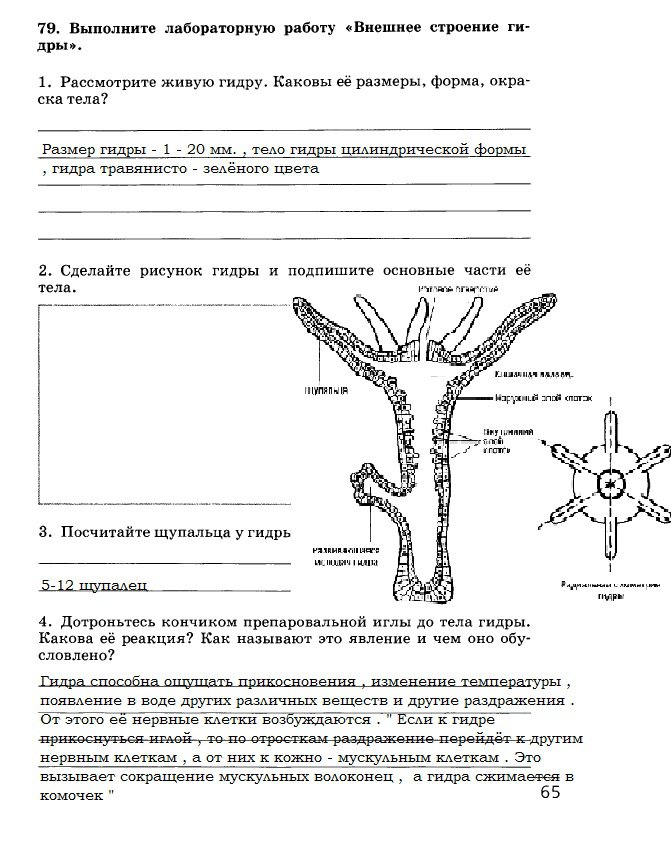 Что с кракеном сайт