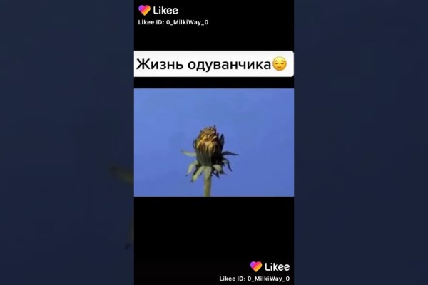 Kraken clear ссылка