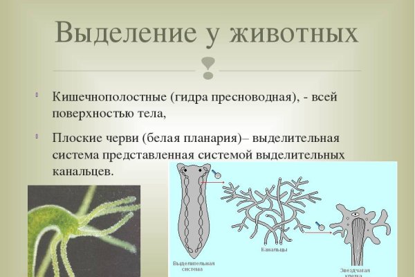 Кракен маркет даркнет только через тор скачать