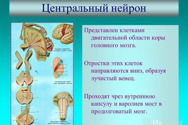 Кракен это современный даркнет маркет