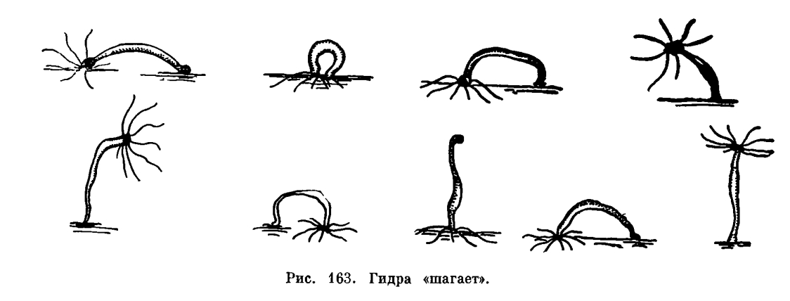 Кракен сайт